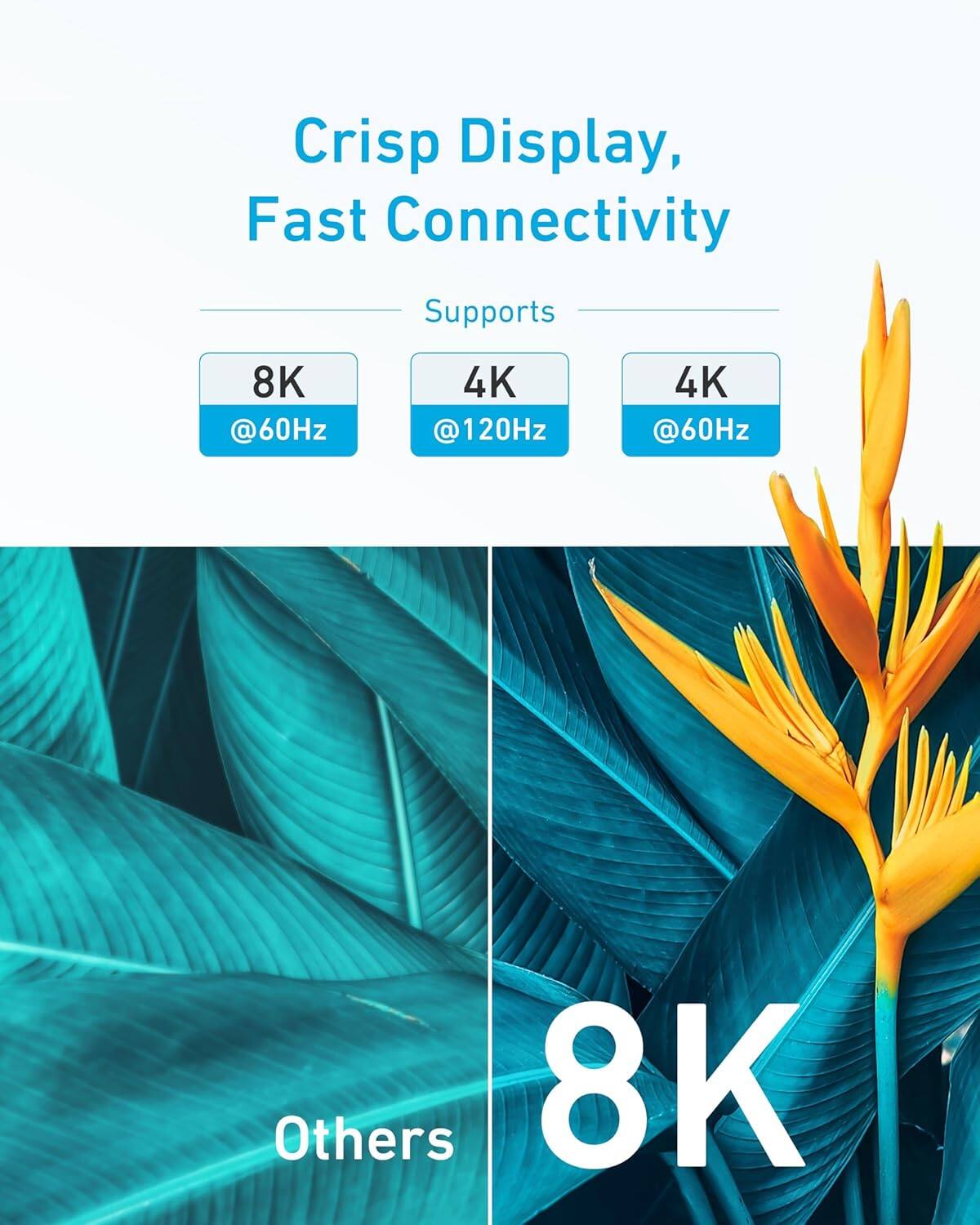 Crisp Display, Fast Connectivity  
Supports  
8K @60Hz  
4K @120Hz  
4K @60Hz  
Others  
8K