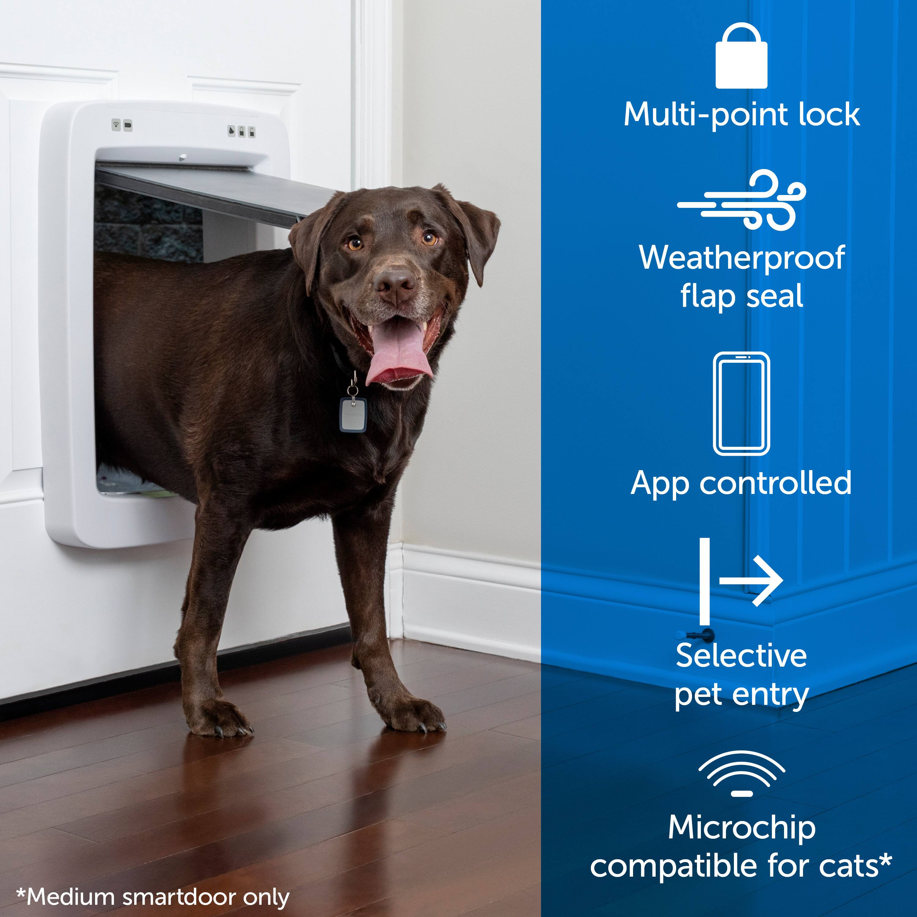 The text on the image is grouped and corrected as follows:

Multi-point lock Weatherproof flap seal App controlled Selective pet entry *Medium smartdoor only Microchip compatible for cats*