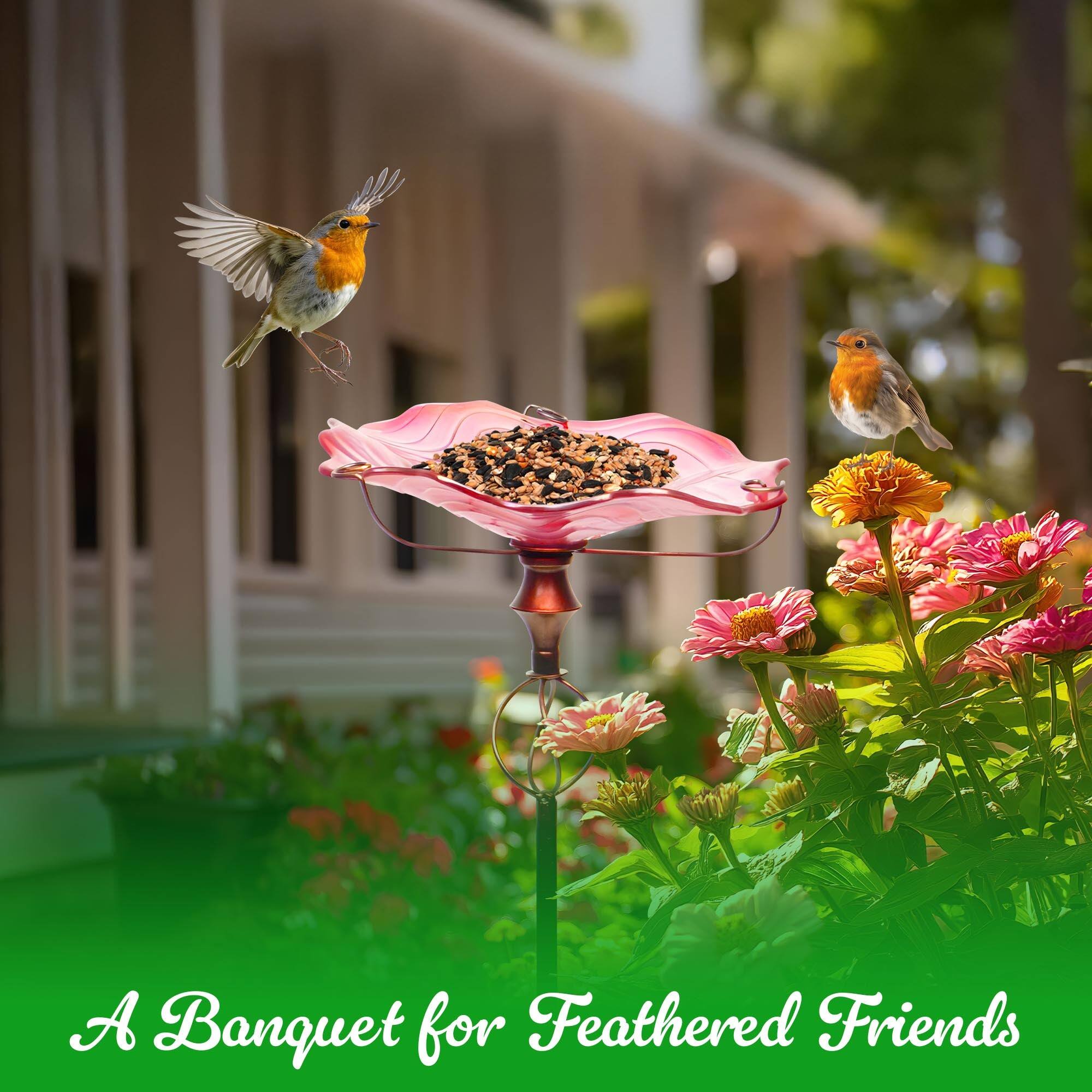 A Banquet for Feathered Friends