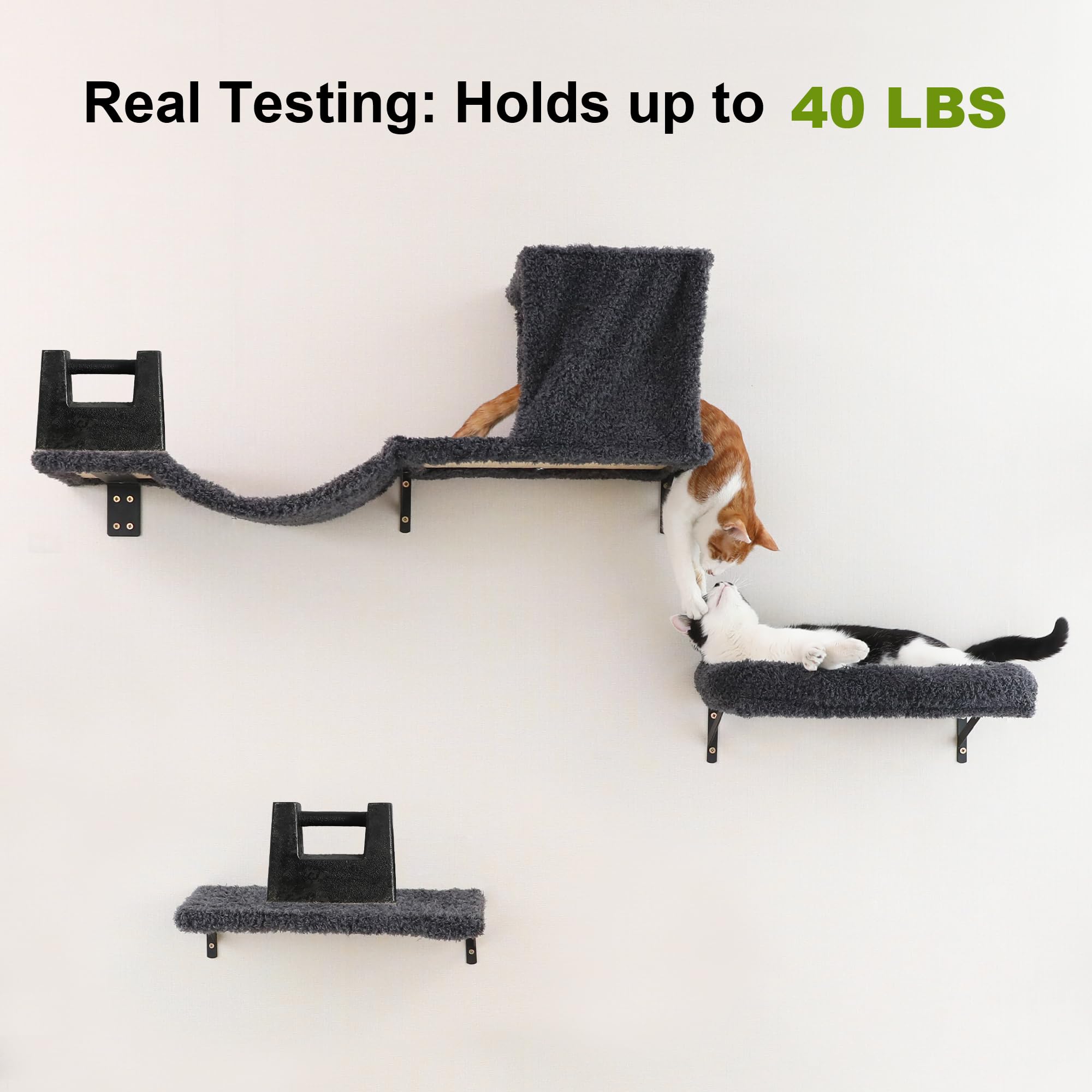 Real Testing: Holds up to 40 LBS