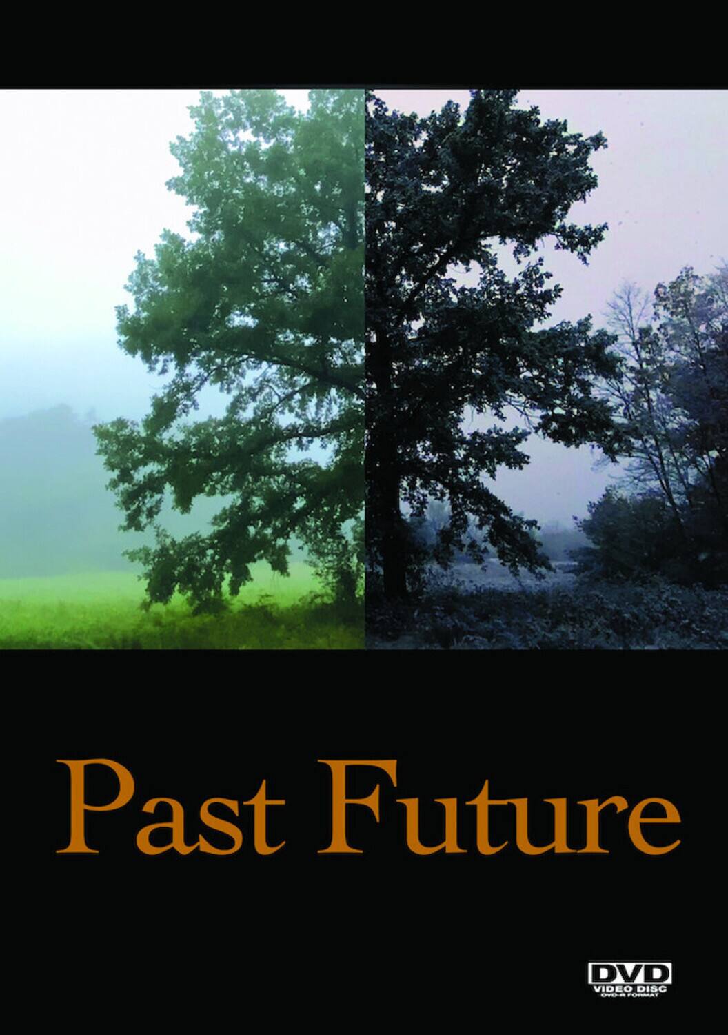 Past Future  - DVD