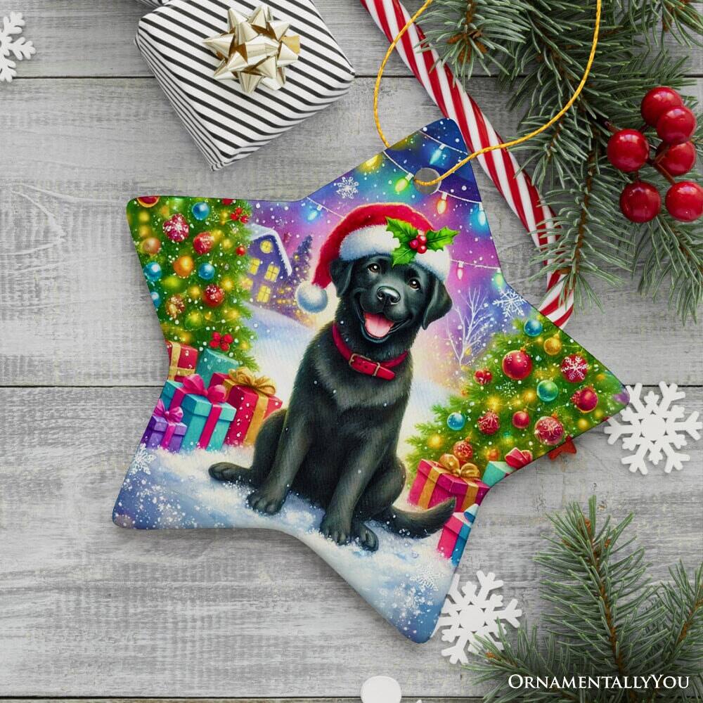 Back. OrnamentallyYou - Sparkling Yuletide Black Labrador Retriever Ornament Joyful Christmas Gift Star Version - Multi-colored.