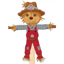 Fan Creations - Ohio State Buckeyes 12" Scarecrow Yard Stake - Multicolor