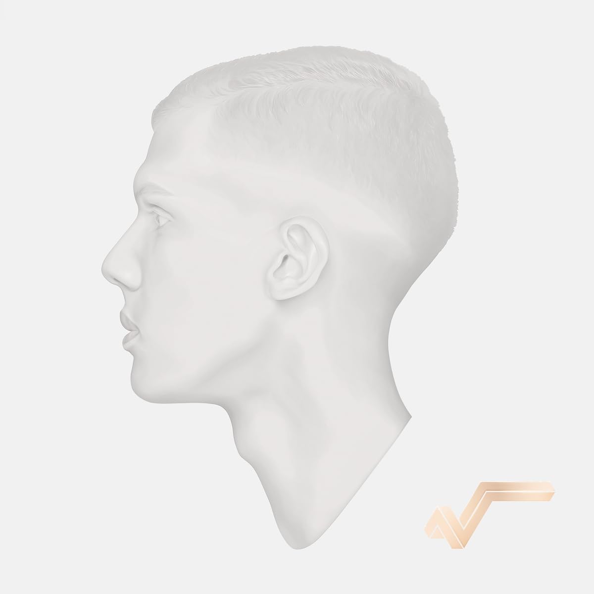 Stromae: Racine Carree: 10-Year Anniversary - Limited Edition with Boo –  Victrola