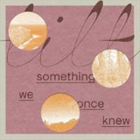 Something We Once Knew [LP] - VINYL - Front_Zoom