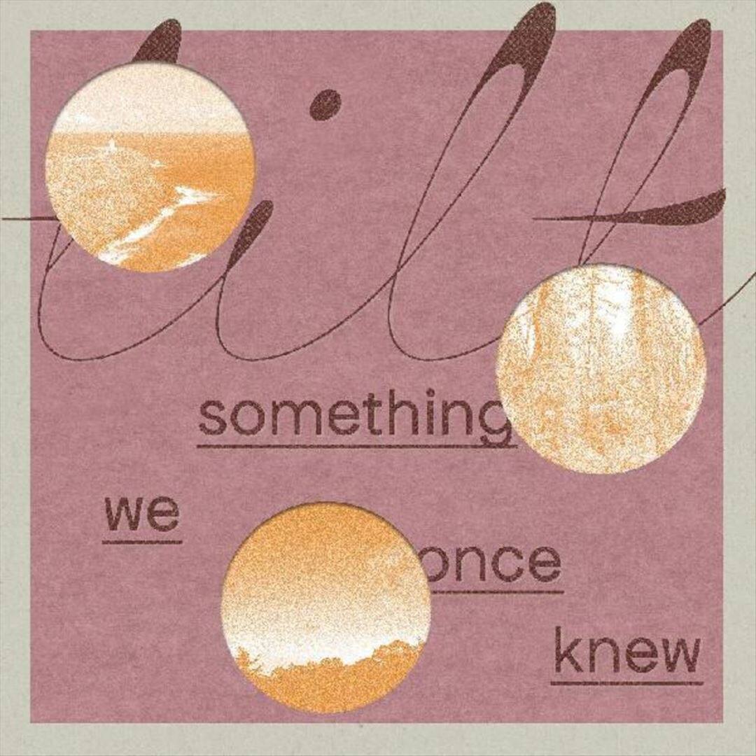 Front. Something We Once Knew [LP].