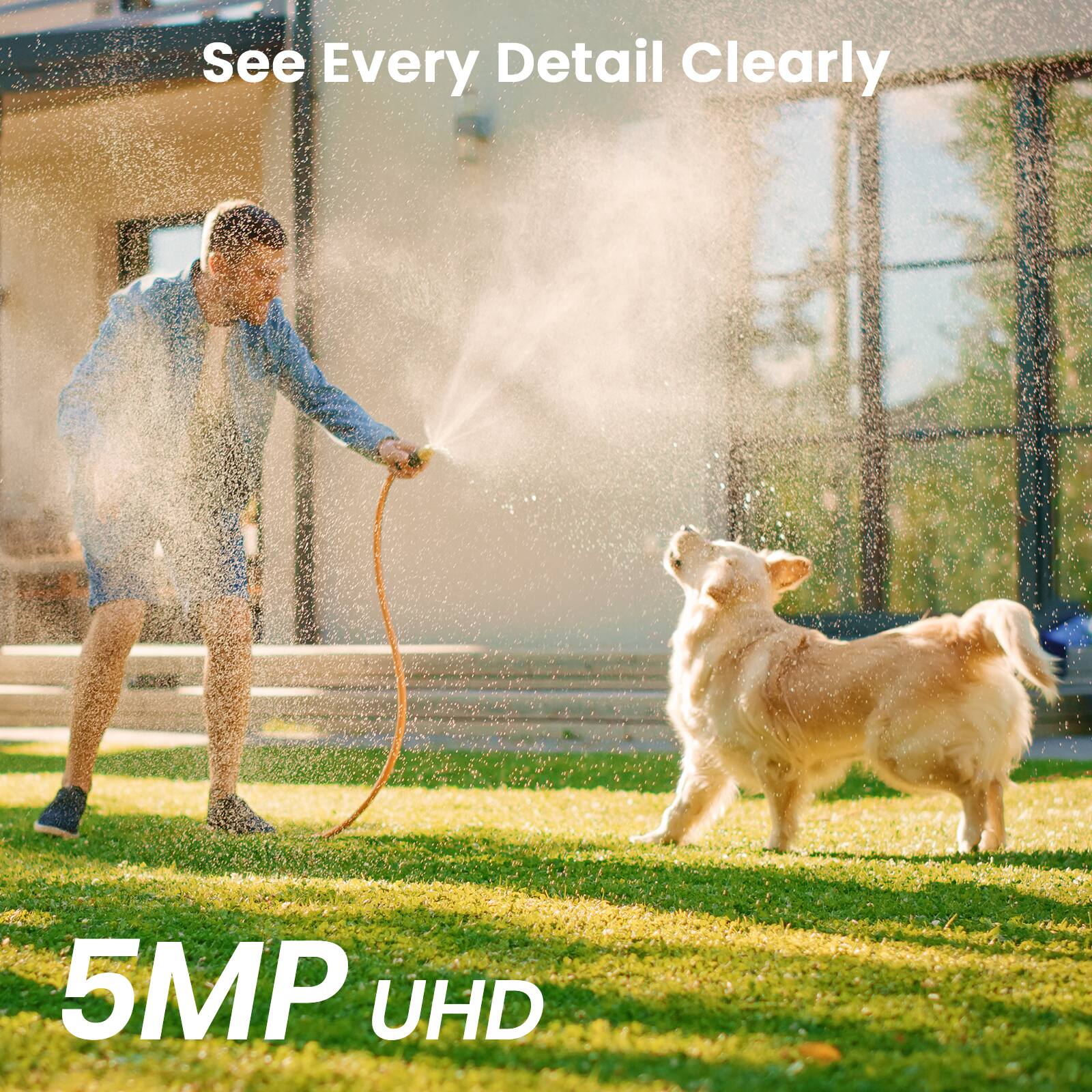 See Every Detail Clearly

5MP UHD