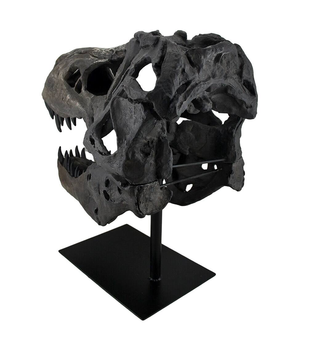 Alt View 3. Zeckos - Gray Finished Tyrannosaurus Rex Fossil Skull Statue On Museum Mount T-Rex - Gray.