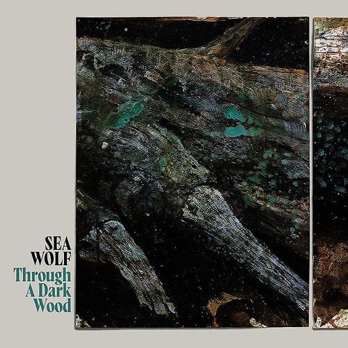 Through a Dark Wood [Deluxe Edition] [LP] [VINYL] - Front_Zoom