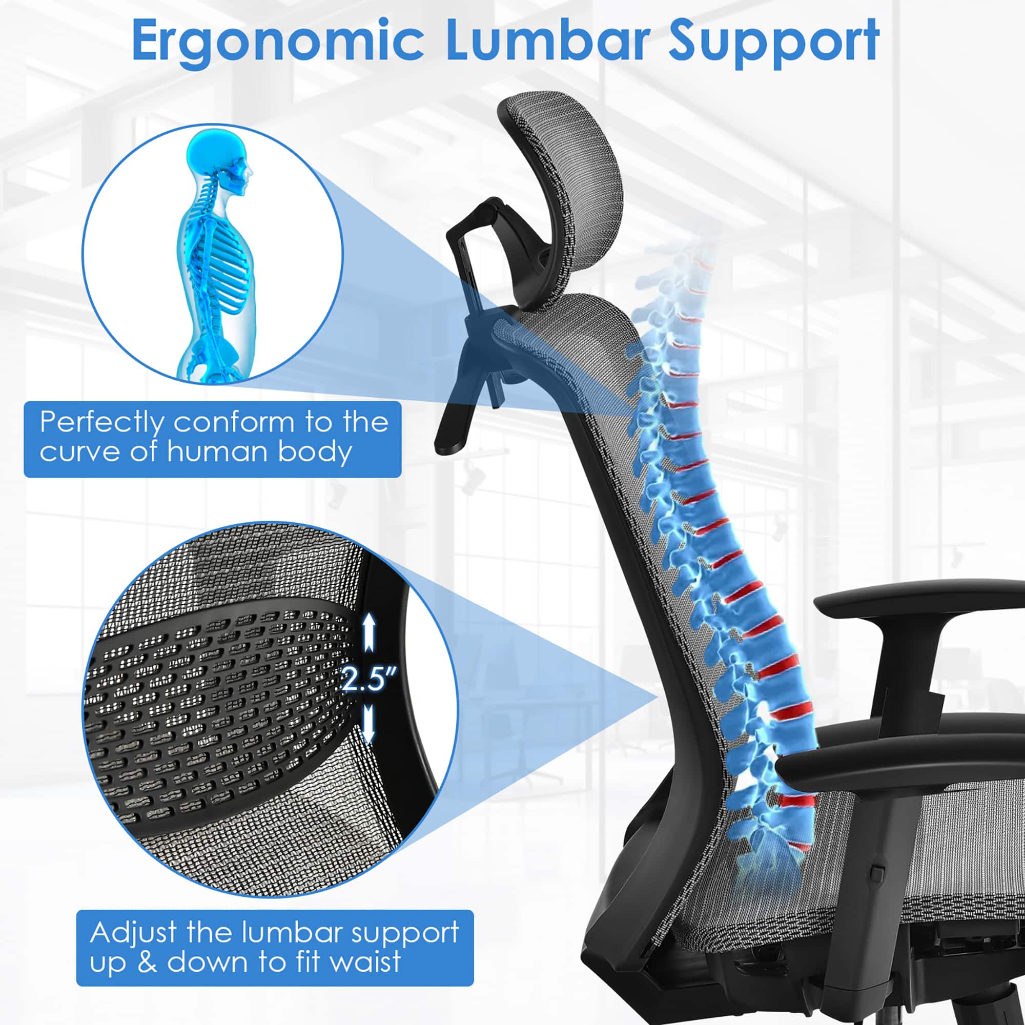 Ergonomic Lumbar Support: Perfectly conform to the curve of human body. Adjust the lumbar support up & down to fit waist.