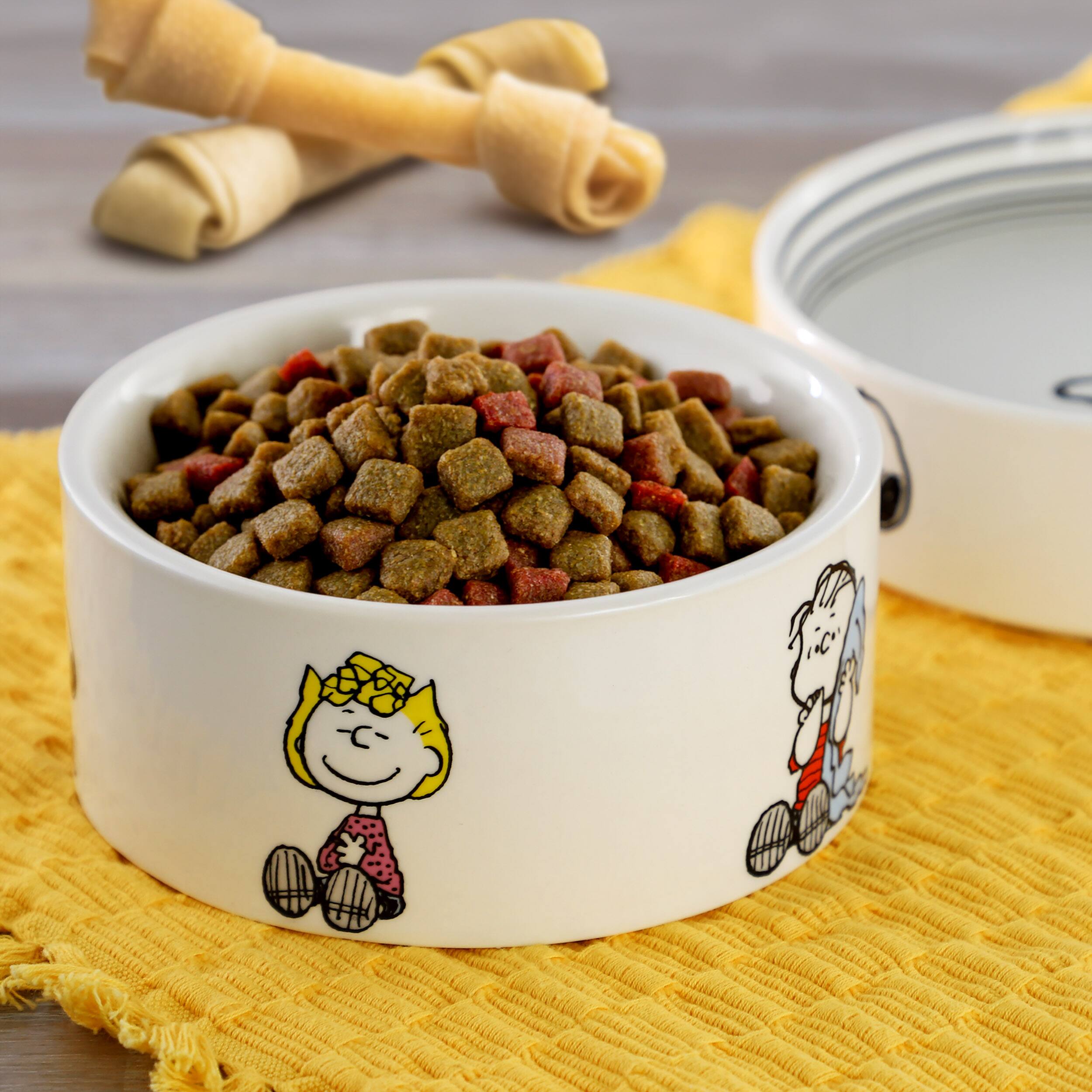 Alt View 3. Peanuts - Peanuts Charlie Brown and Friends Snack Time 6in Stoneware Pet Bowl - White and Multi.