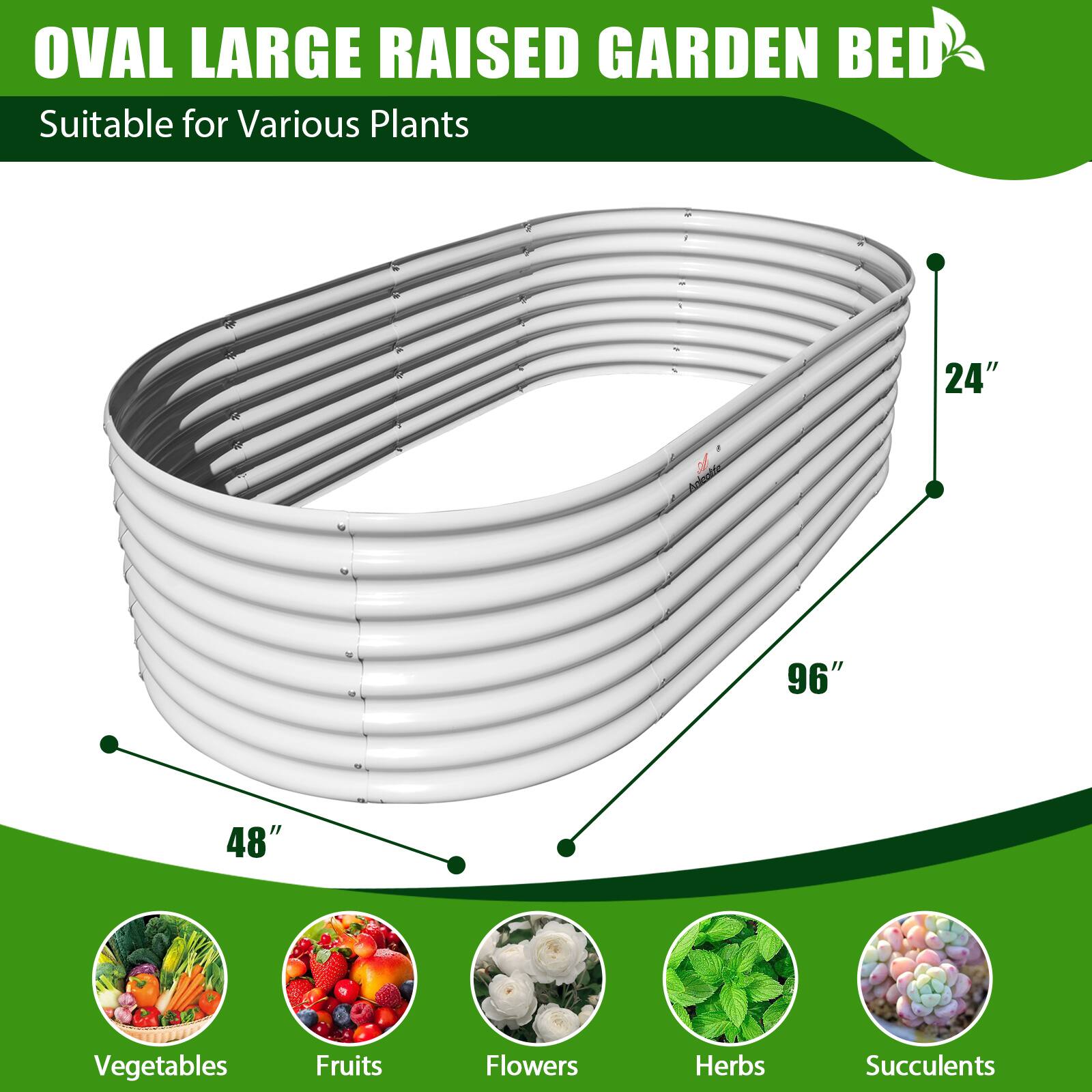 OVAL LARGE RAISED GARDEN BED  
Suitable for Various Plants  

24" x 96" x 48"  

Vegetables  
Fruits  
Flowers  
Herbs  
Succulents