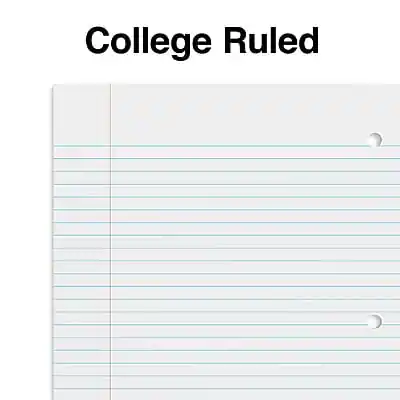 Staples 1 Subject Notebooks, 8