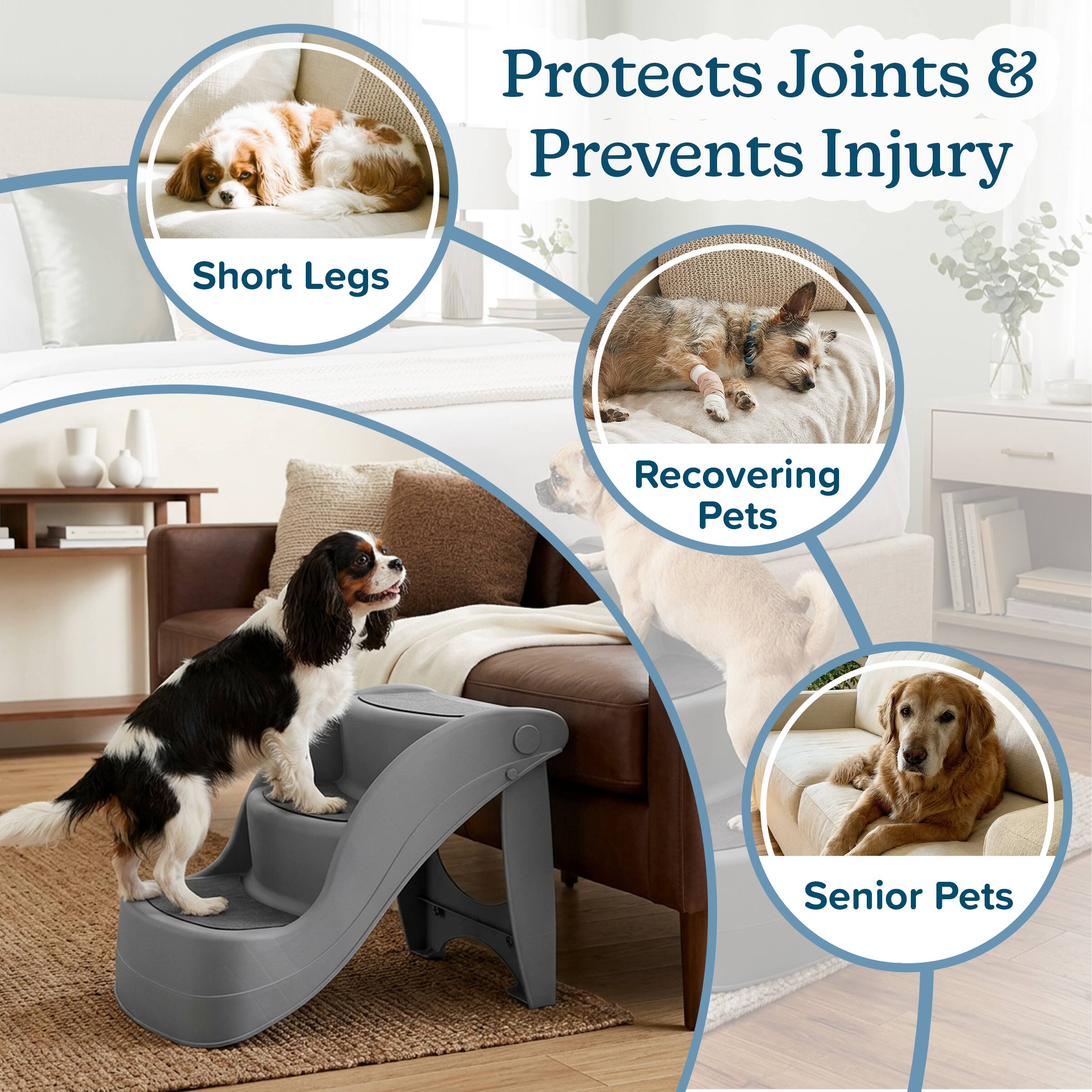 Protects Joints & Prevents Injury  
- Short Legs  
- Recovering Pets  
- Senior Pets