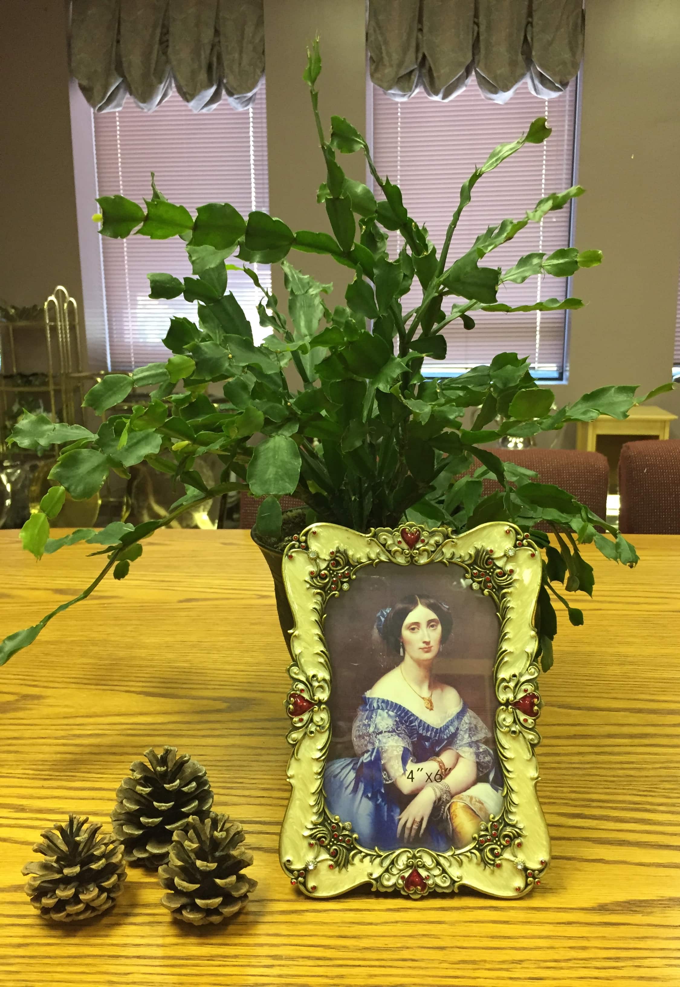 Jiallo - Dianne 4 x 6" frame - Silver