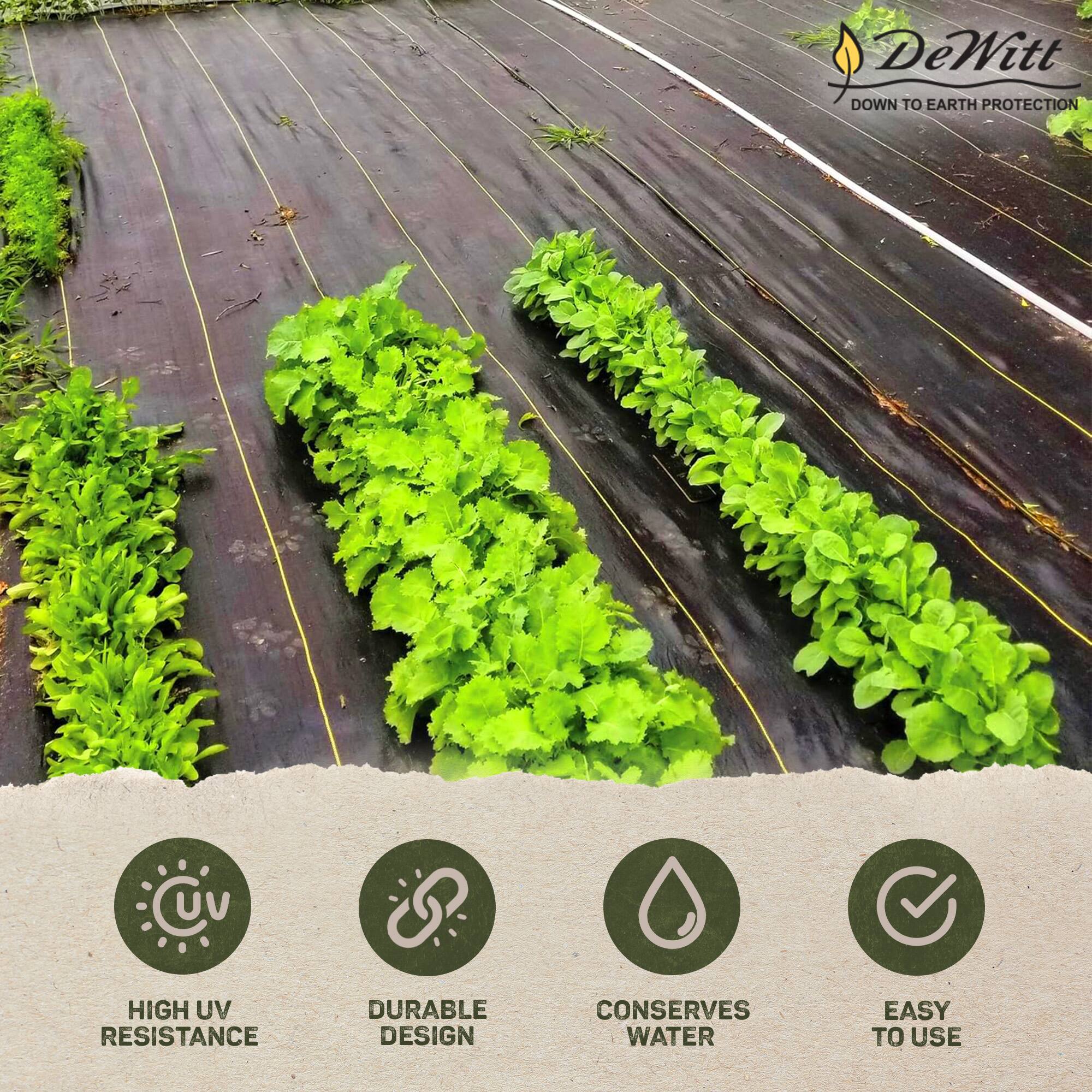 DeWitt DOWN TO EARTH PROTECTION

- HIGH UV RESISTANCE
- DURABLE DESIGN
- CONSERVES WATER
- EASY TO USE