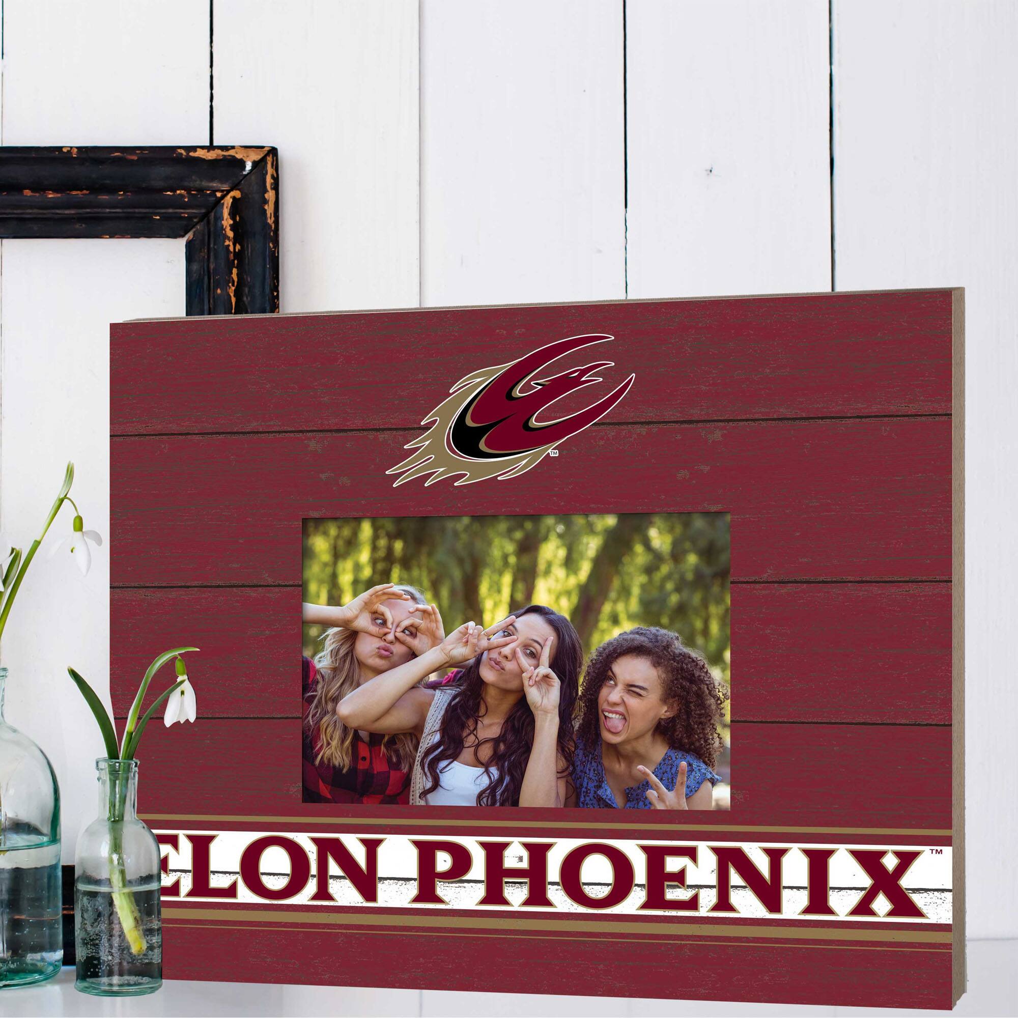 The ELON PHOENIX