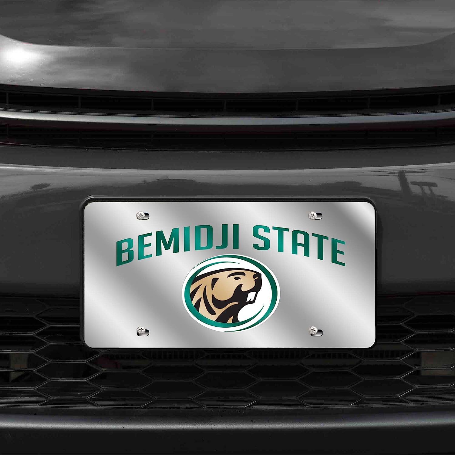 BEMIDJI STATE