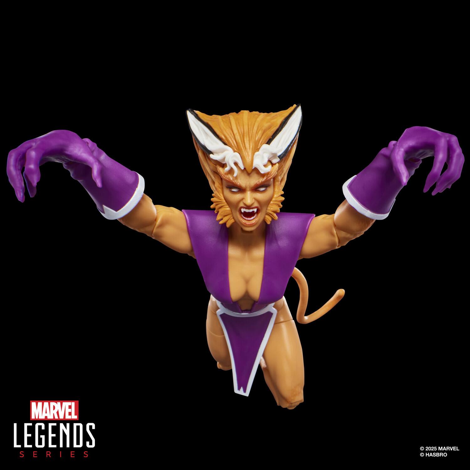 MARVEL LEGENDS SERIES  
© 2025 MARVEL HASBRO