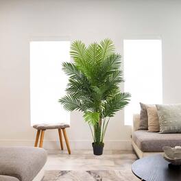BreeBe - 6' Hawaii Artificial Palm - Green