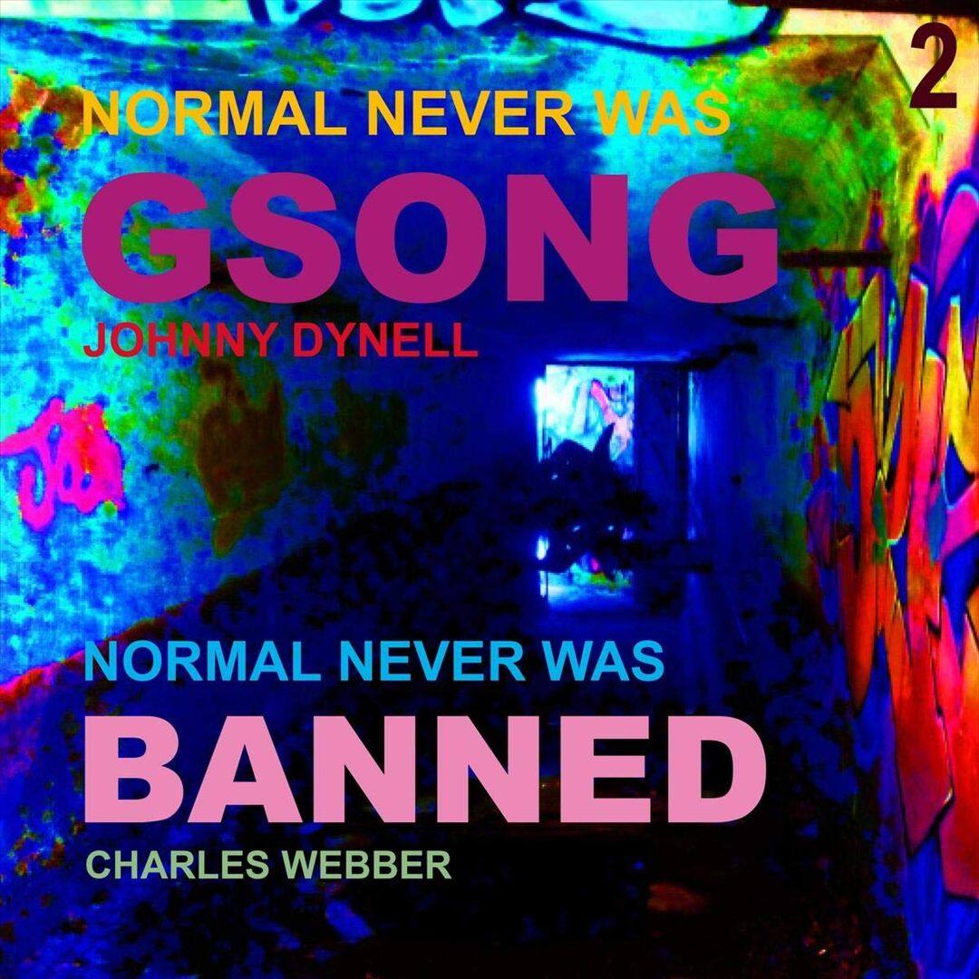 Normal Never Was II [LP] [VINYL] price history on PriceWatchPro