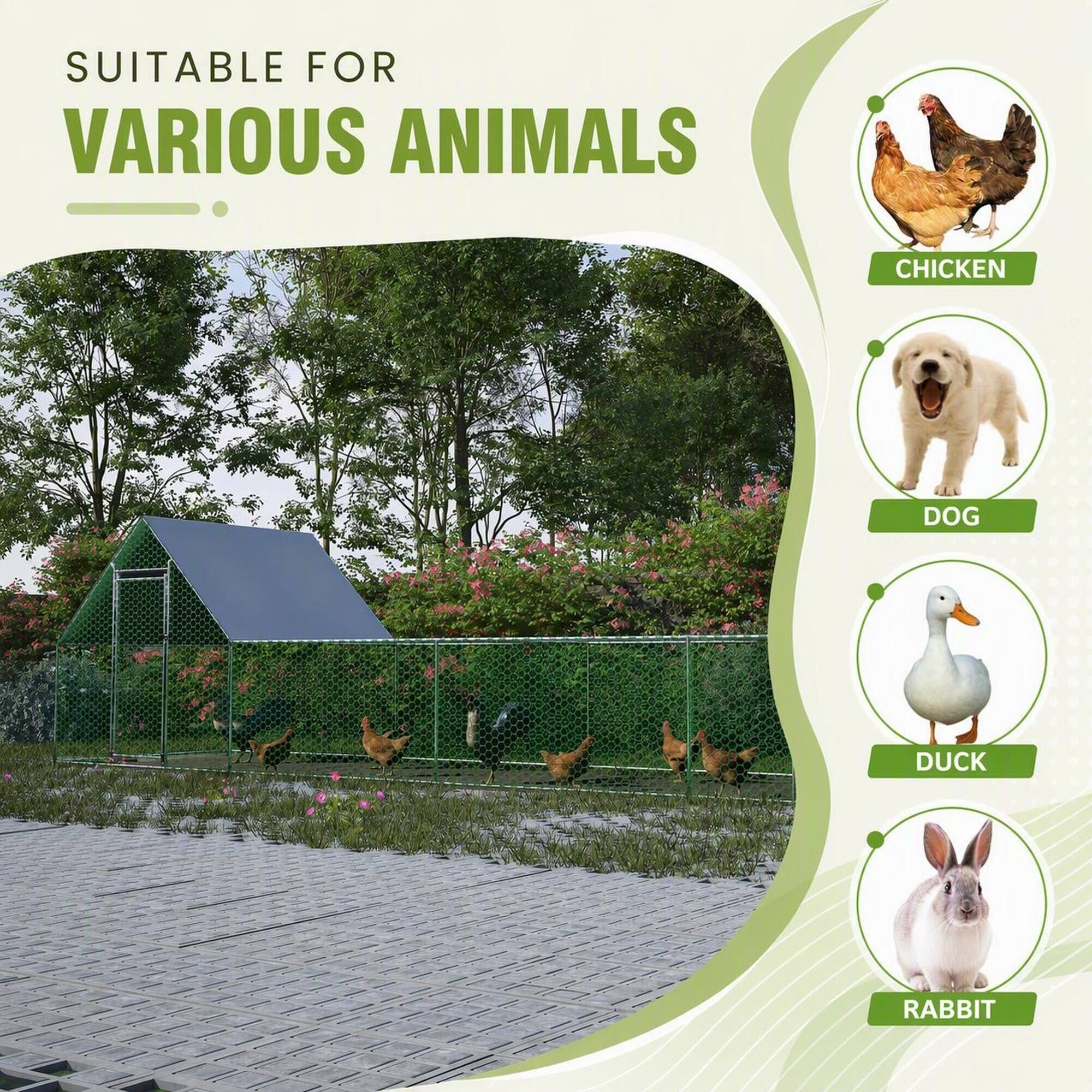 SUITABLE FOR VARIOUS ANIMALS

- CHICKEN
- DOG
- DUCK
- RABBIT