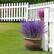 Front. Auledio - 1 PCS Artificial lavender flowers, outdoor non-fading imitation plastic fake flowers, garden porch window box decoration - Purple.