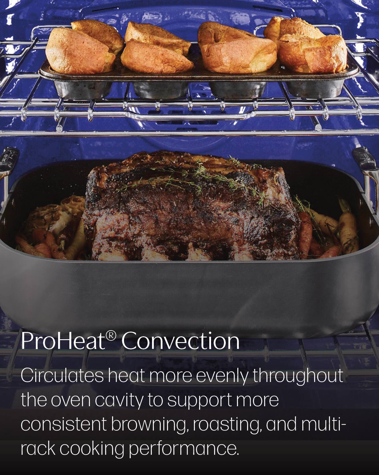 ProHeat® Convection  
Circulates heat more evenly throughout the oven cavity to support more consistent browning, roasting, and multi-rack cooking performance.