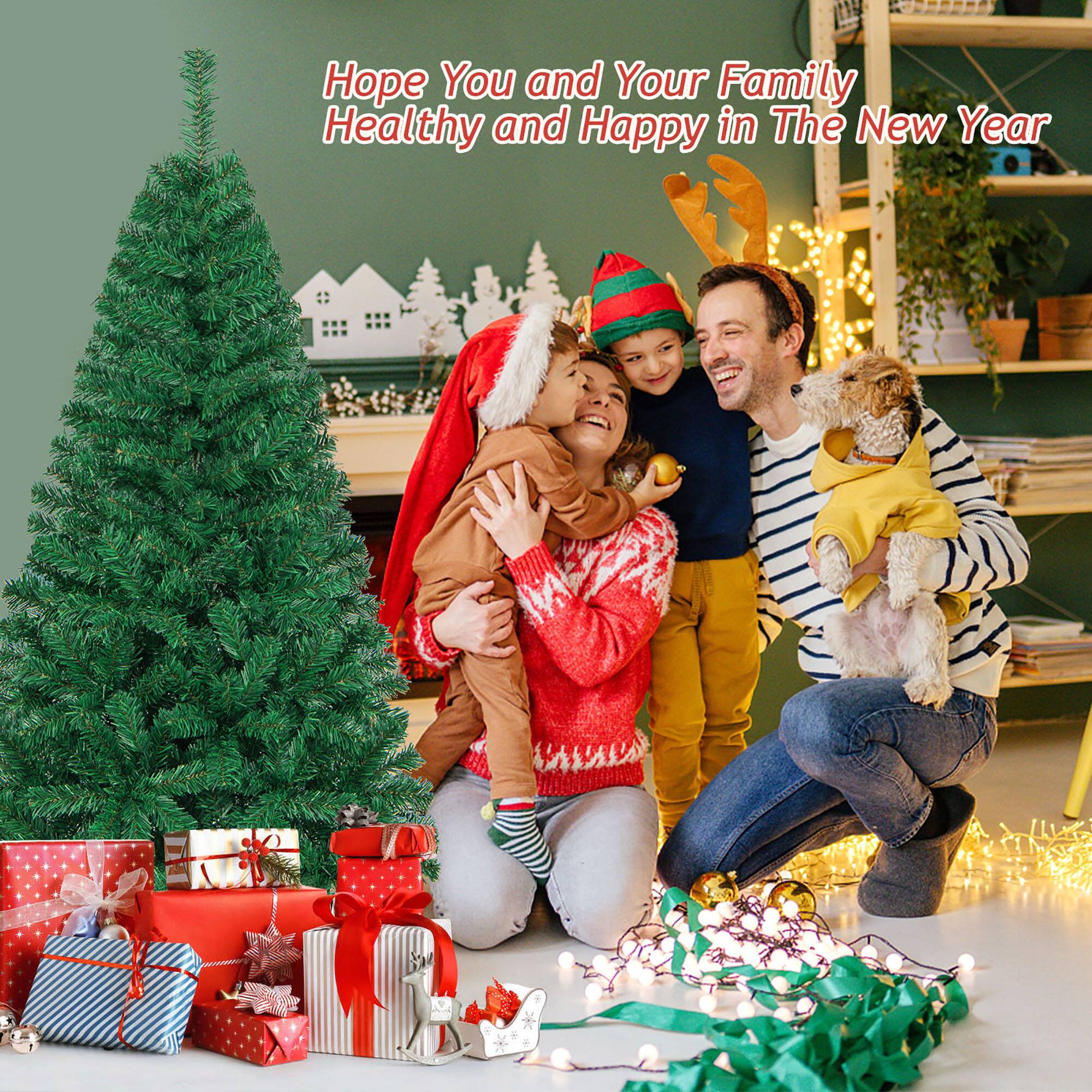 Hope You and Your Family Healthy and Happy in The New Year