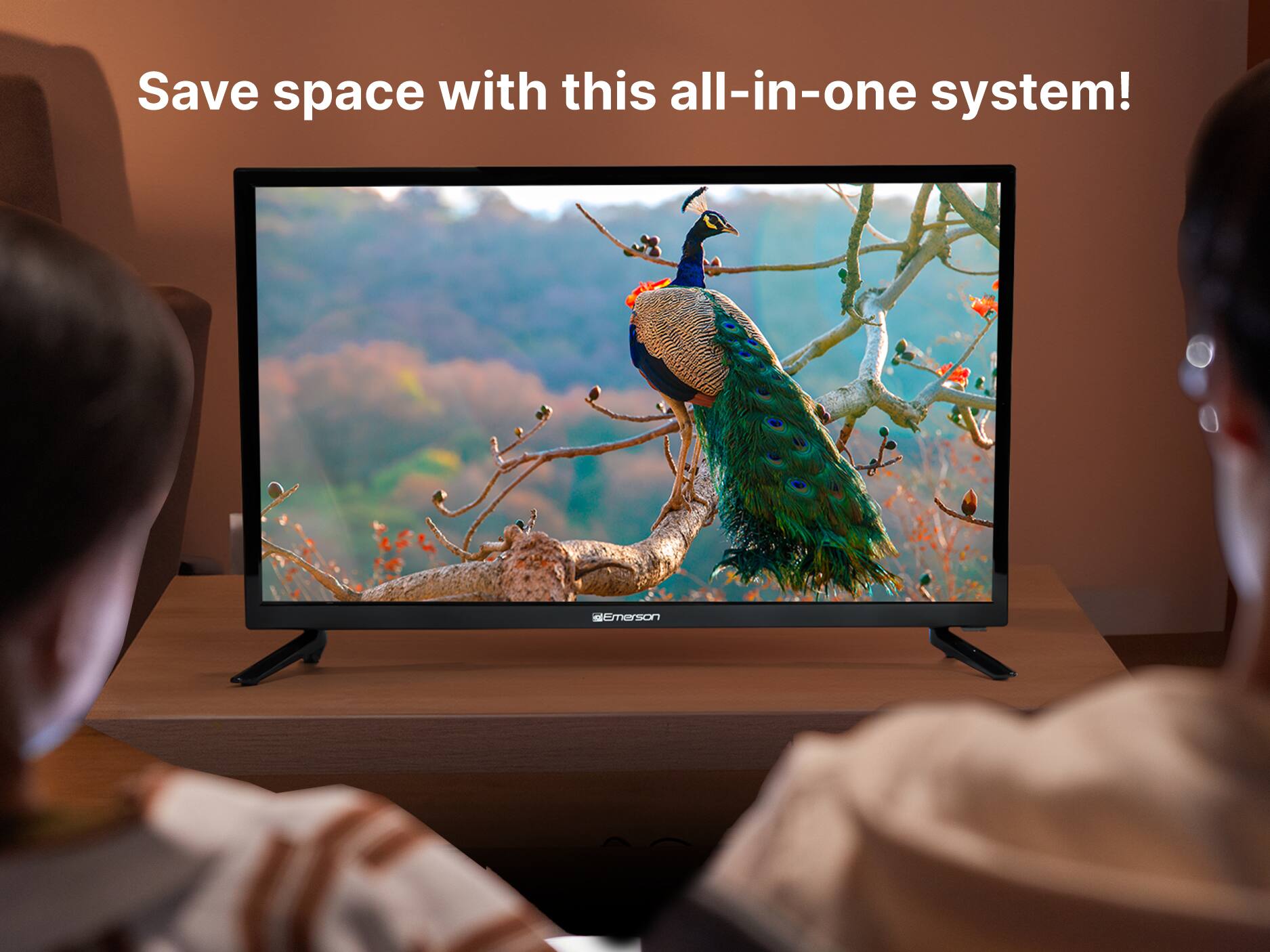 Save space with this all-in-one system! Emerson