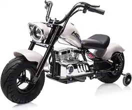 Electrodes Masters - 36V Electric Dirt Bike for Kids & Teens, 350w Fast Electric Motorcycle Up to 16.5MPH, Kids Ride on with Spring - White