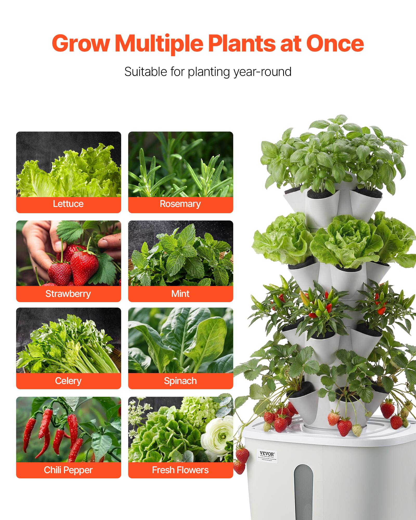 Grow Multiple Plants at Once  
Suitable for planting year-round  

- Lettuce  
- Rosemary  
- Strawberry  
- Mint  
- Celery  
- Spinach  
- Chili Pepper  
- Fresh Flowers