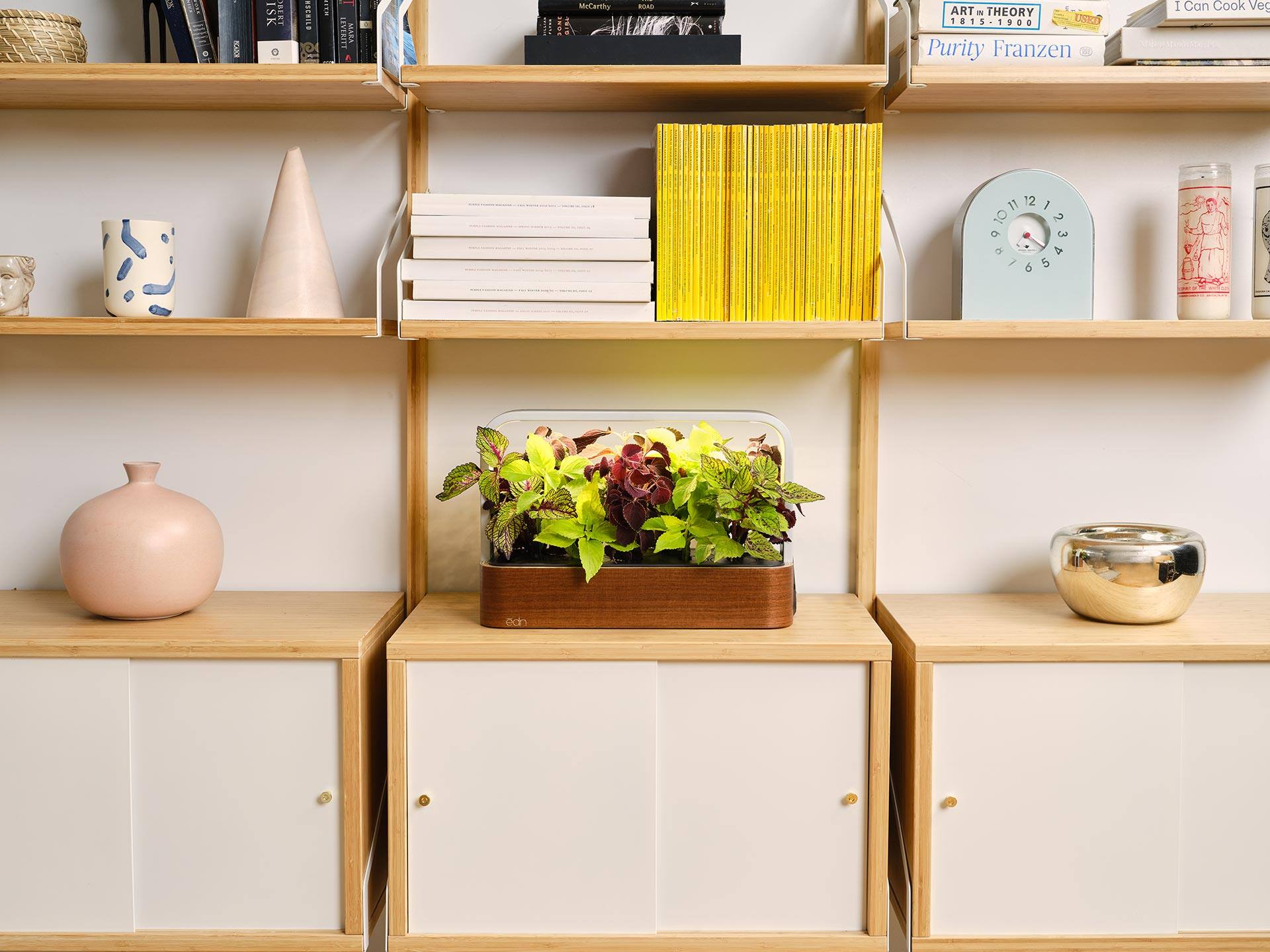 - ART IN THEORY 1815-1900
- Purity Franzén
- I Can Cook Veg
- McCarthy - ROAD
- KADISK
- E Schild
- IVERITY
- UST:7