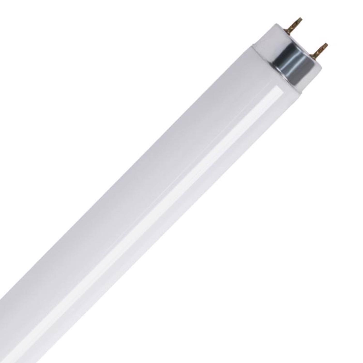 Left. FEIT ELECTRIC - Feit Legacy Bulbs 18 W T8 1 in. D X 23.8 in. L Fluorescent Bulb Cool White Linear 4100 K 1 pk.