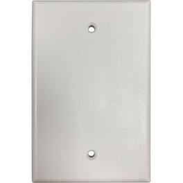 Eaton Tripp Lite Series Safe-IT Blank Wall Plate, Antibacterial, Matte, TAA - High Impact Plastic - Ivory