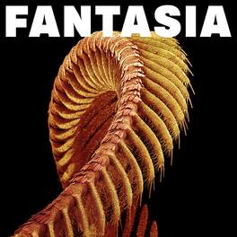 Slift - Fantasia - Yellow - VINYL LP