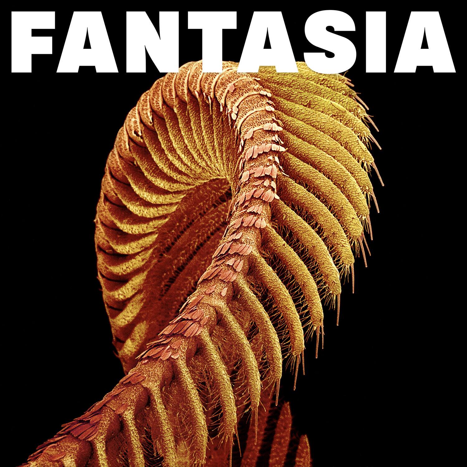 Front. Slift - Fantasia - Yellow   - VINYL LP.