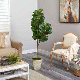 BreeBe - 5.5' Fiddle leaf Fig Tree in Country White Planter - Green