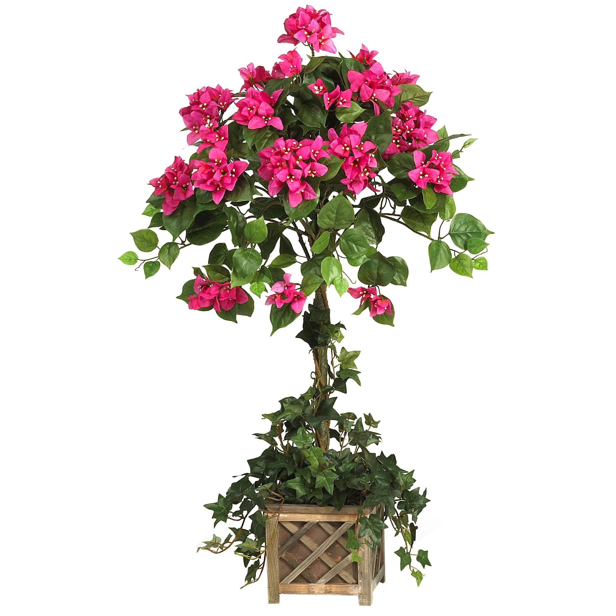 BreeBe - 34" Bougainvillea Topiary w/Wood Box - Beauty