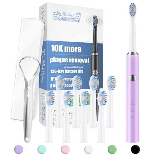 Soft Purple-1 Count (Pack of 1)