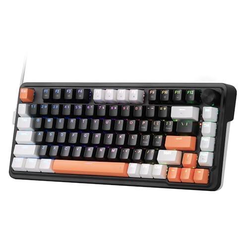 Black Tangerine (HE Version)-81 Keys