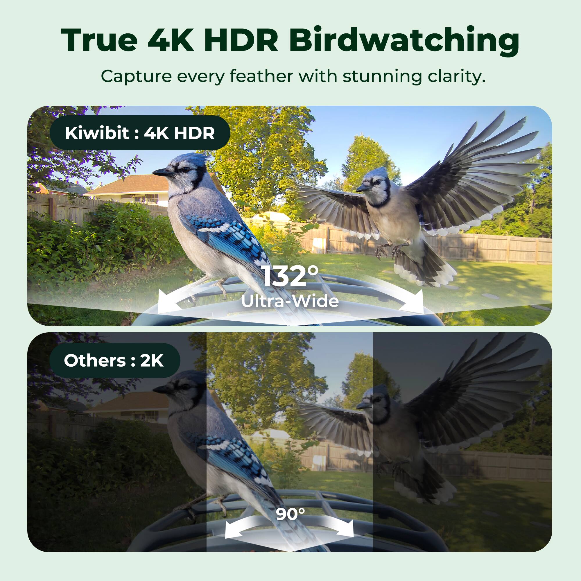 True 4K HDR Birdwatching  
Capture every feather with stunning clarity.  

Kiwibit: 4K HDR  
132° Ultra-Wide  

Others: 2K  
90°