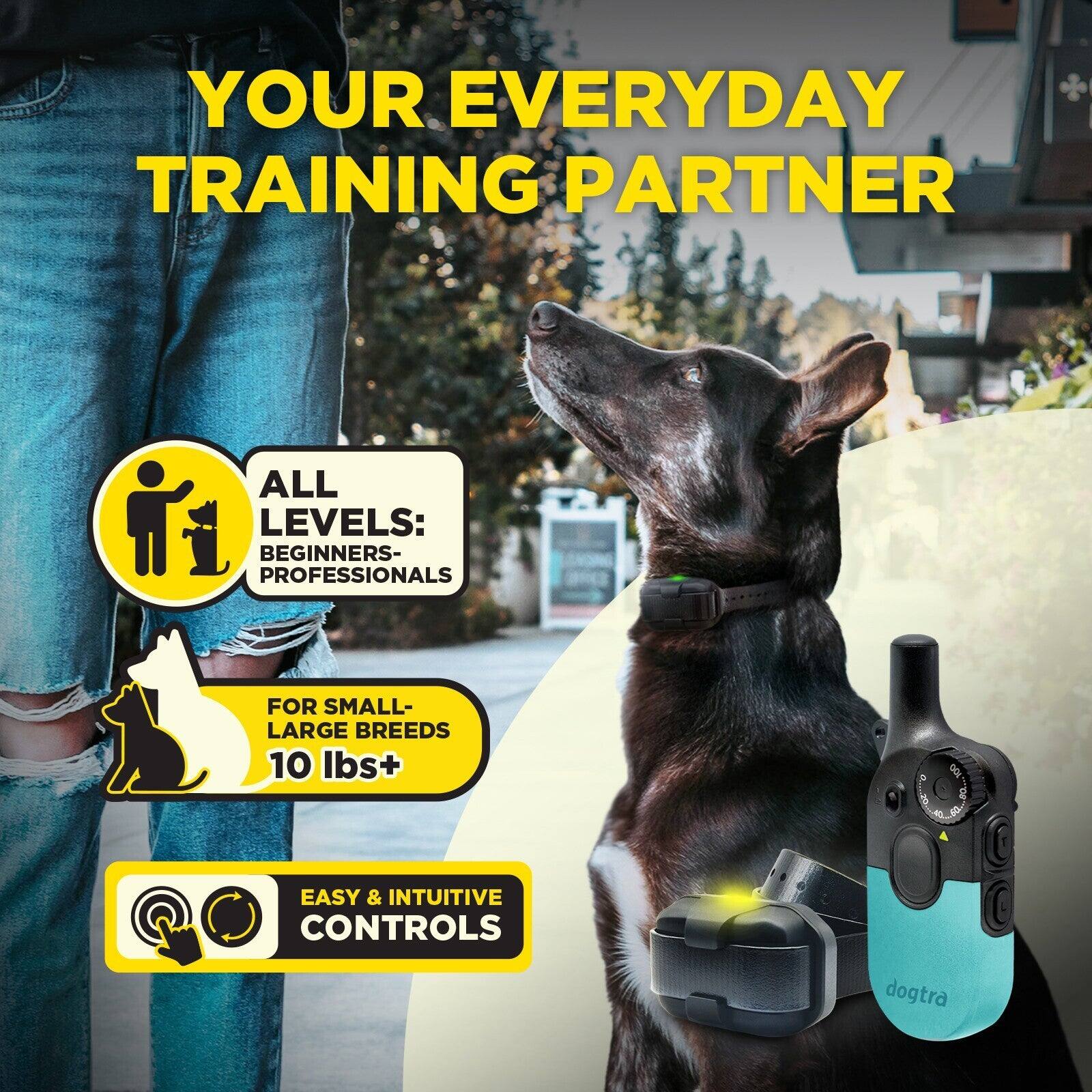 YOUR EVERYDAY TRAINING PARTNER

ALL LEVELS: BEGINNERS- PROFESSIONALS

FOR SMALL- LARGE BREEDS 10 lbs+

EASY & INTUITIVE CONTROLS

dogtra