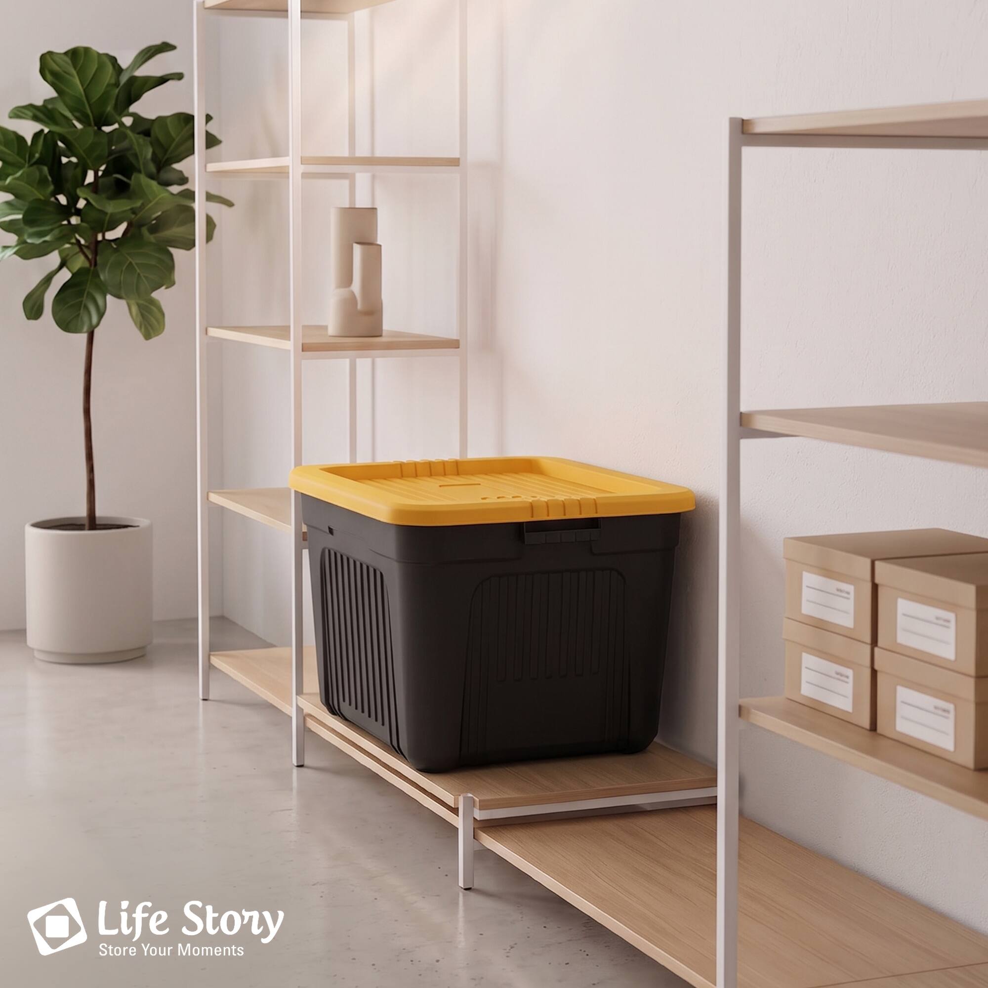 Life Story  
Store Your Moments