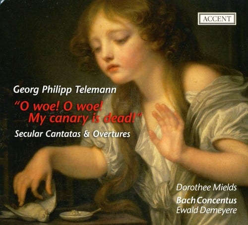 Bach Concentus - O Woe O Woe My Canary Is Dead   - COMPACT DISCS [CD] price history on PriceWatchPro