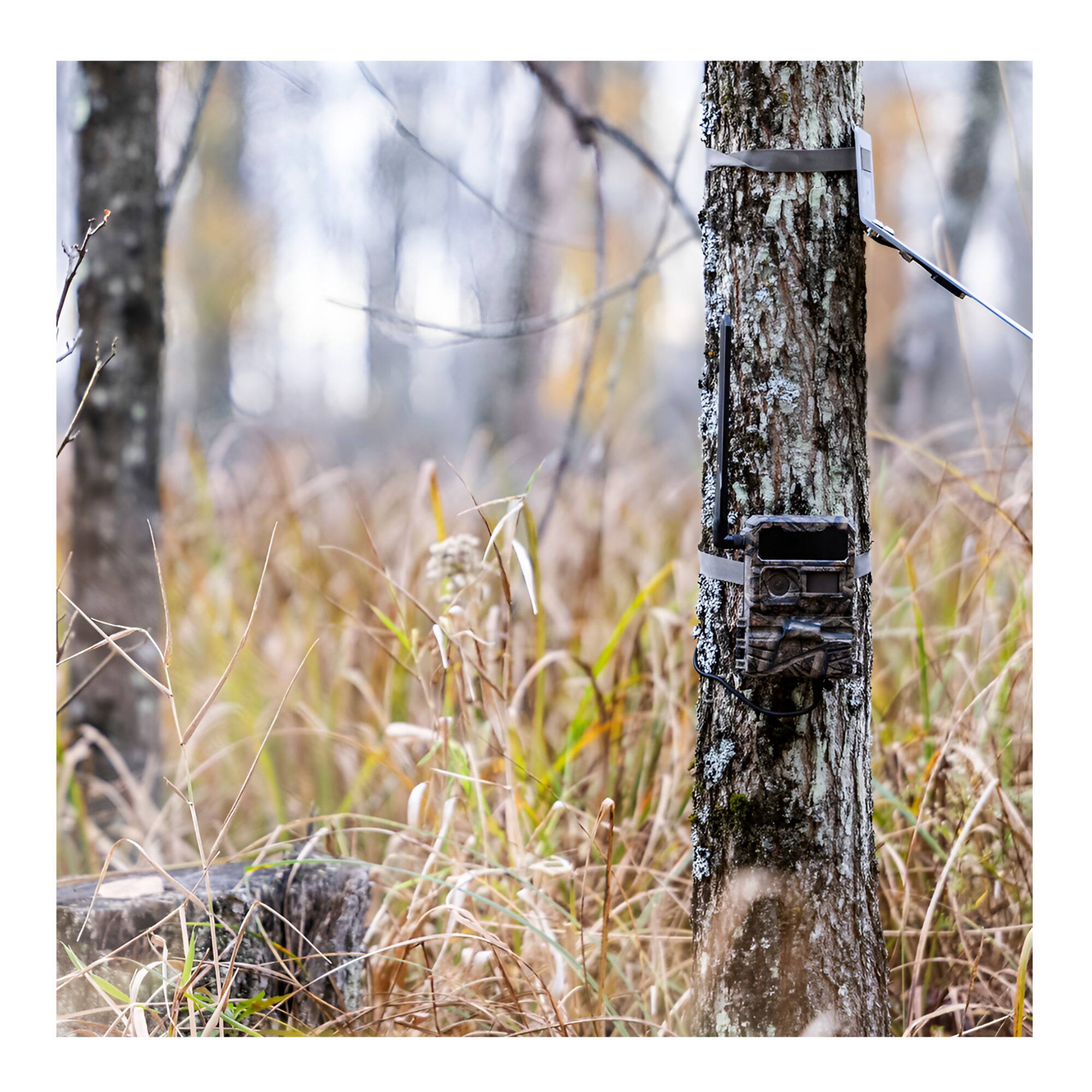Angle. Yellowstone - Yellowstone Y2 Trail Camera Bundle with Battery, Card Reader, and Accessories.