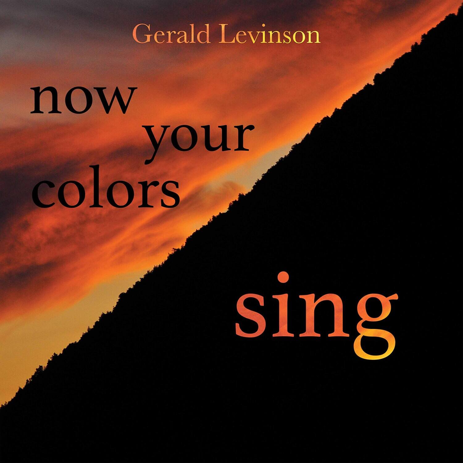 Gerald Levinson

now your colors sing