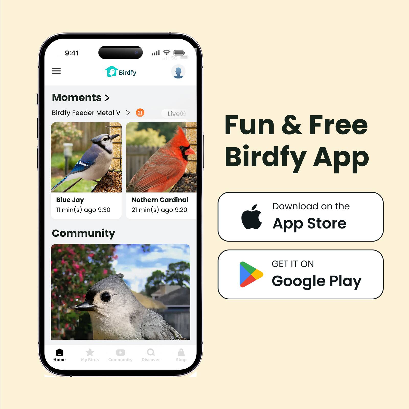 Fun & Free Birdfy App

Moments
Birdfy Feeder Metal V > 21 Live
Blue Jay 11 min(s) ago 9:30
Northern Cardinal 21 min(s) ago 9:20

Community

Download on the App Store
GET IT ON Google Play

Home My Birds Community Discover Shop
