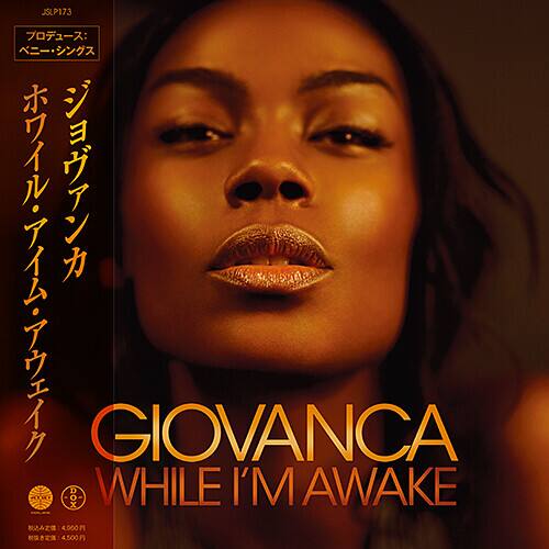 While I'm Awake [LP] [VINYL] price history on PriceWatchPro