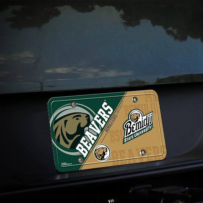 Bemidji State University  
Beavers  
BSU  
Bemidji State University